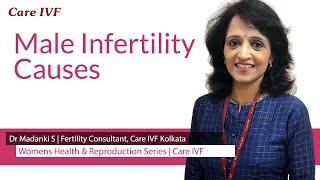 Explaining Male Infertility Causes  Dr Madanki Infertility Male InfertilityFemale Infertility