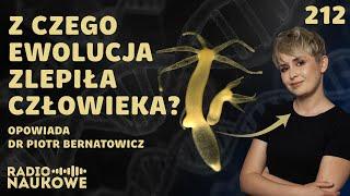 Wspólnota życia - ewolucja odsłania prawdę o pochodzeniu człowieka  dr Piotr Bernatowicz