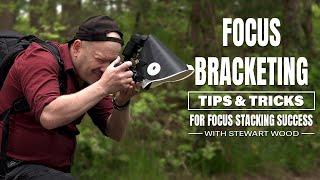 Focus Bracketing Tips and Tricks for Focus Stacking Success