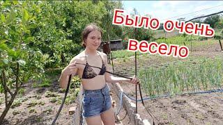 VLOG Как мы весело подключали капельный полив 