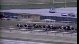 1988 Remsen Stakes