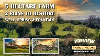 5 HA Farm  2 Ruins Well Spring & Fountain  Portugal  €87000