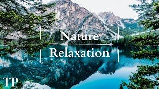 Nature Relaxation - Ambient Soothing Sounds of Water Rain and Birds