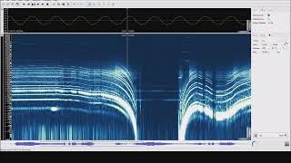 【モハラジオ録音電感器錄音】金旅電動公車