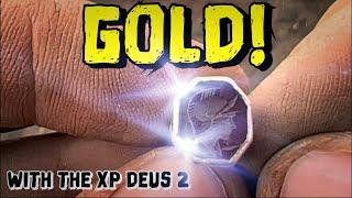 AMAZING GOLD discovery  with the XP DEUS 2