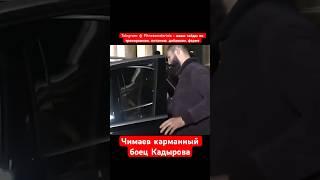 Чимаев ручной боец Кадырова и позор своего народа 