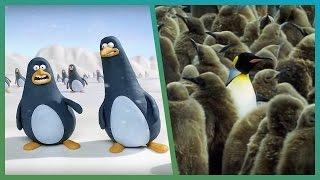 Penguins on Attenborough  BBC Earth Unplugged