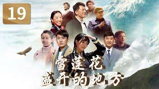 小伙屡屡受挫想要离开西藏 村民一番话却让他决定留下《雪莲花盛开的地方》 第19集【CCTV热播剧场】