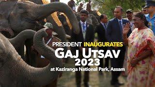 President Droupadi Murmu inaugurates Gaj Utsav 2023 at Kaziranga National Park Assam