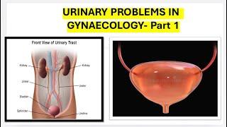 Urinary problems in gynaecology-1