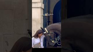 Lady Shares a special Bond Connection with the King’s Horse