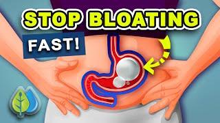 5 Ways to STOP Bloating Fast  How to Get Rid of Belly Bloating Fast