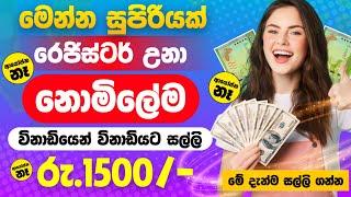 රෙජිස්ටර් වෙලා එවලේම සල්ලි ගත්තා  How To Earn E - Money Sinhala  Online Business  E Money Sinhala