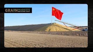 China to Stockpile Grains and Oilseeds - More $ Allocated