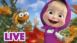 ماشا والدب ‍️ LIVE STREAM  سأحصل على بعض الطعام  Masha and the Bear