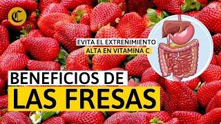 PROPIEDADES y BENEFICIOS de las FRESAS  que ayudan a tu sistema inmunológico