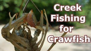 How to Catch Creek Crawfish  Crawdads with a Fishing Pole