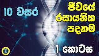 Grade 10 Science in Sinhala Medium   10 විද්‍යාව 1 පාඩම 1 කොටස  ජීවයේ රසායනික පදනම