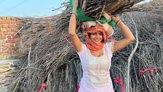 घर का सारा काम  करके खेतों में से  ईंधन लेने गई ️#video #desi #meenu #trending #youtube #vlog