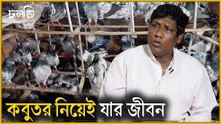 ১০ বছরে যা কালেকশন করবে একদিনে আমার কাছে তা পাবে  Robin Pigeon  চলতি