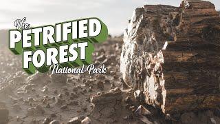 A Petrified Forest Travel Guide  The Painted Desert  Blue Mesa  Hiking the Devils Playground