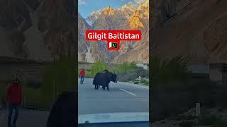 #pakistan #travelpakistan #velog #shortvideo #pakistani #veloging #youtube #shortvid