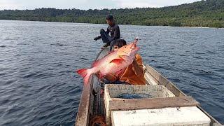 MERAWAI IKAN PINGGIRAN KEDALAMAN 50 METER  strike ikan merah