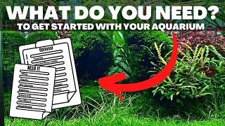 HOW TO GET STARTED WITH AN AQUARIUM? 10 THINGS YOU NEED