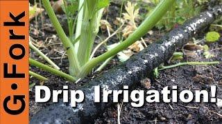 DIY Soaker Hose Drip Irrigation System - GardenFork
