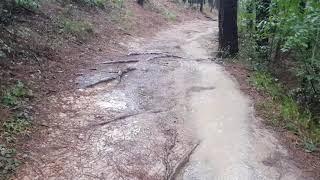 Rainy Day Scenery-Waterway on Dirt Road   비오는 날의 풍경-흙길에 물길이 났네     雨の日の風景 - 砂利道に水路が生じたよ