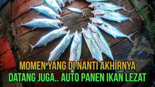 Kawanan Ikan Lezat ini Mampir di Dam Ijo Auto Panen 