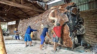 The legend of the trembesi wood fiber from Mount Lokon Sulawesi bought up by Dutch citizens