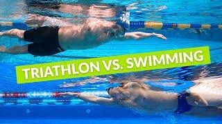 Spot the Difference  Which Swimmer Is the Triathlete?