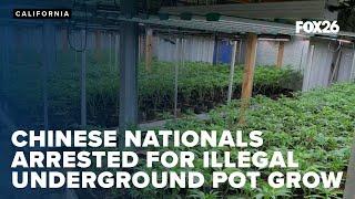 Chinese nationals arrested after massive underground pot farm busted in Kern County