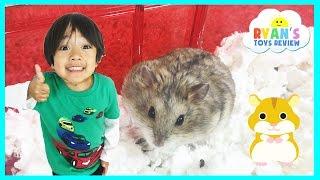 Ryan ToysReview first pet Buying Hamster from PetSmart