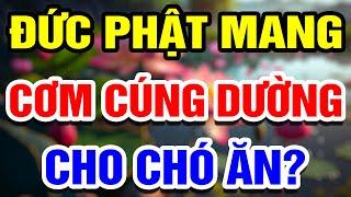 Có Phải Cứ CÚNG DƯỜNG Cho Phật Là Sẽ Nhận PHƯỚC BÁU?  THHT