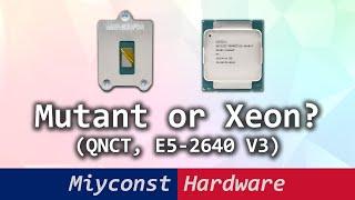  QNCT mutant vs Xeon E5-2640 V3 which platform is better for budget PCs – LGA 1151 or LGA 2011-3?