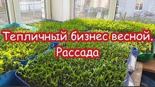 Пришла весна - пора работать