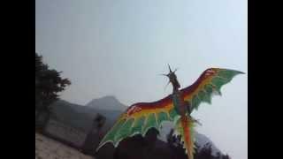 3D Avatar Dragon Pterosaur Kite from Pandora Art Deco