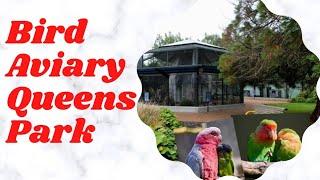 Bird Aviary Queens Park Invercagill New Zealand #aviaryqueenspark
