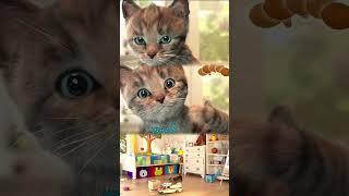 MY FUN LITTLE KITTEN ADVENTURE - ANIMALS AND FRIENDS ON THE GO