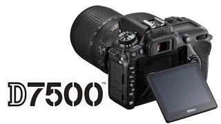 Nikon D7500 Preview vs D500 D7200