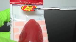 jelly belly pete rat gummy candy