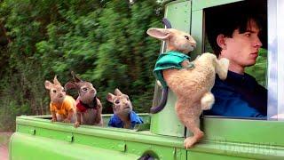 Peter Rabbits best funny scenes  4K