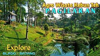 PAGILARAN - WISATA KEBUN TEH  Batang Jawa Tengah