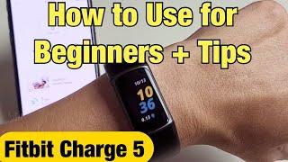 Fitbit Charge 5 How to Use for Beginners + Tips
