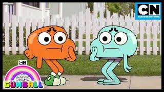 Whos The Real Darwin?  Gumball  Cartoon Network