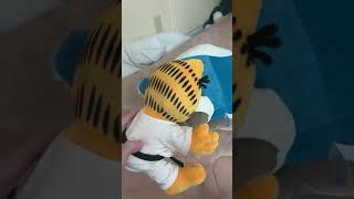 Garfield Wakes With Big Sleepy
