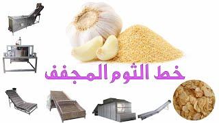 خط إنتاج ثوم مجفف -  Dried Garlic production line