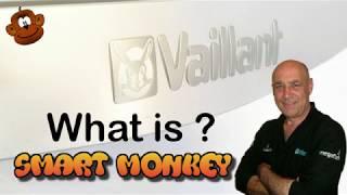 VAILLANT SMART MONKEY THANK YOU...